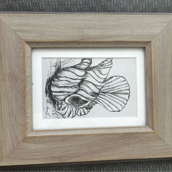 Hand made: Shells, hand drawn with mat 4.5 x 6” in a 10 x 9” wood glass frame. - Picture 4 of 6